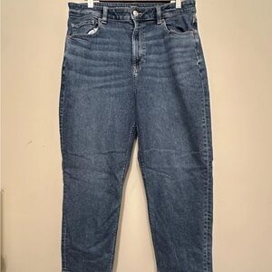 American Eagle Outfitters Relaxed Fit Blue Jeans
